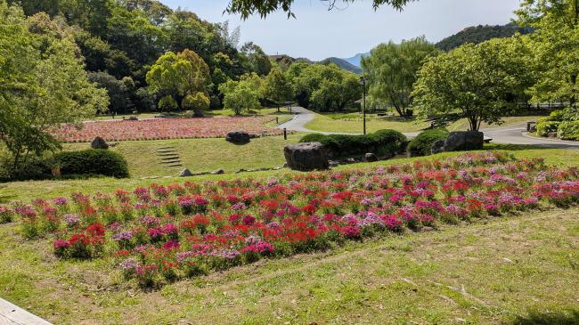 中山池自然公園