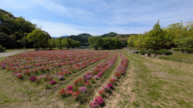 中山池自然公園