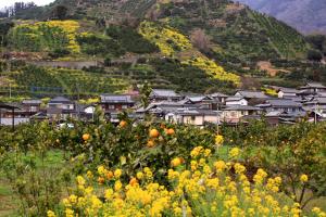 宇和島百景645