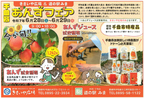 チラシ