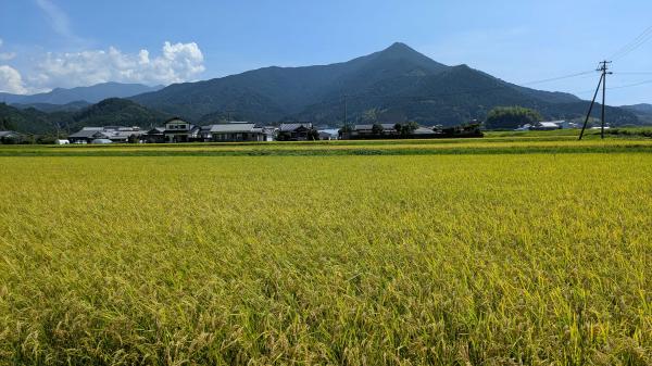 三間の田園