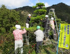 剪定技能講習会風景