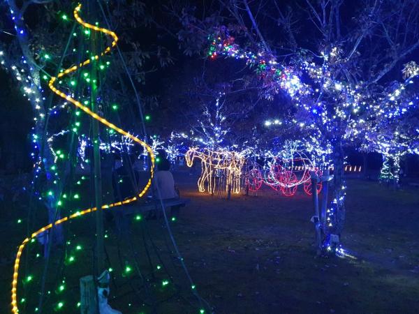 三間の中山池自然公園イルミネーション