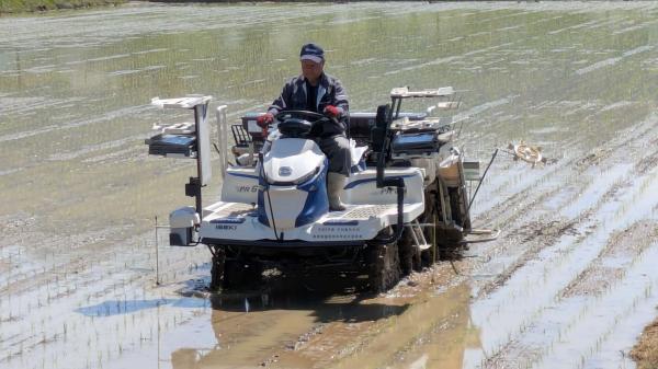 みま米田植え１