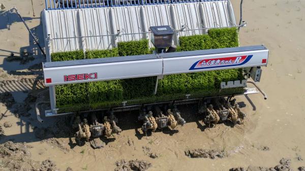 みま米田植え４