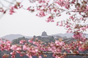 宇和島百景738