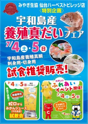チラシ