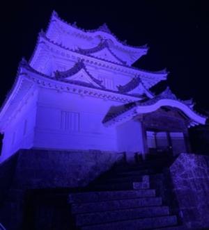 宇和島城ライトアップ