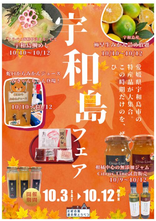 チラシ(宇和島フェア）