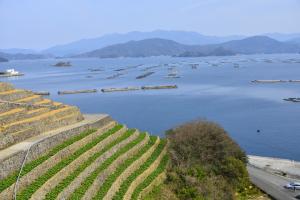 宇和島百景30