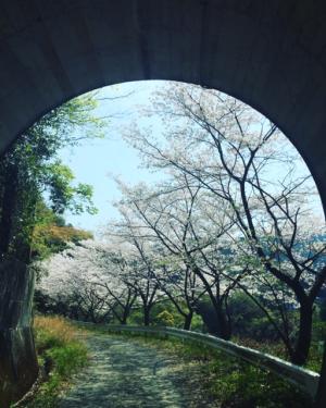 宇和島百景