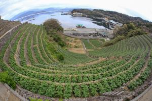 宇和島百景