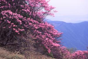 宇和島百景