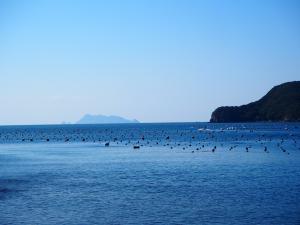 宇和島百景650