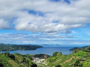 宇和島百景657