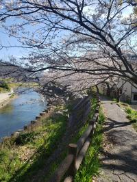 宇和島百景